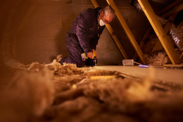 Best Eco-Friendly or Green Insulation Solutions  in Andrews, SC